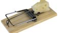 Video: Innovative Irish students invent successful and pain-free homemade mouse trap