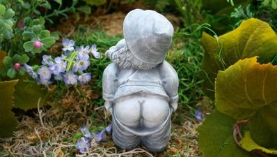 Man who mooned the Queen may face prison, but not for long