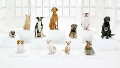 Volkswagen invites you to the bark side