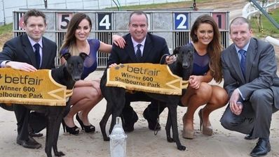 Betfair move into Irish greyhound sponsorship with 600 deal