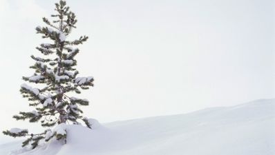 Man survives two freezing months trapped in snowed-in car