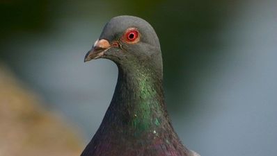 Time-saving tip, No 19: Cut down on your methods of communication