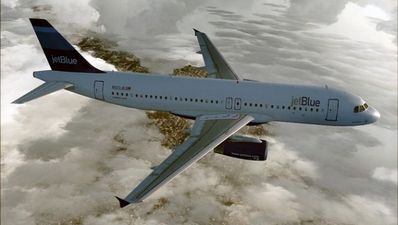 American pilot arrested after suffering ‘mental breakdown’ on flight