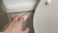 Easygoing gadget: The Toilet Seat Lifter… man’s new best friend