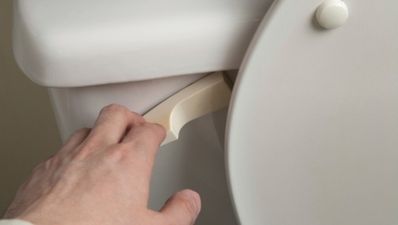 Easygoing gadget: The Toilet Seat Lifter… man’s new best friend
