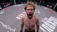 Video: Your MMA knockout of the week comes from Bellator 63