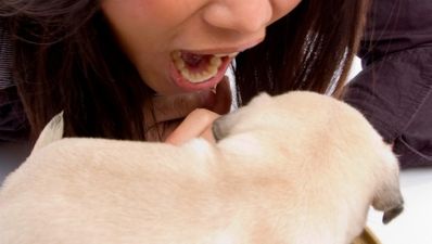 Woman charged with animal cruelty after biting her pet dog