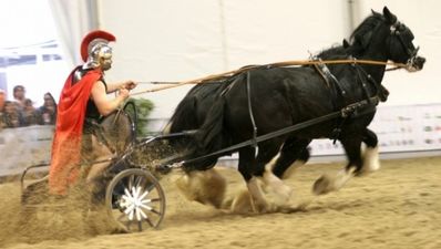 Video: Gardaí attempt, and fail, to stop these travelling chariots of fire