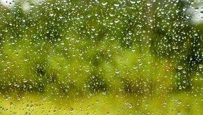 April showers seriously affected DIY gardeners