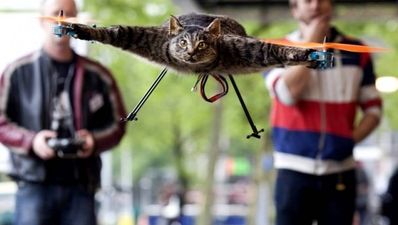DIY taxidermist turns pet cat into helicopter… of sorts