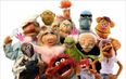 Video: The Muppets are returning to Irish television with a new series