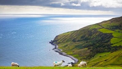 Looks like Ireland is the sixth most peaceful place on earth