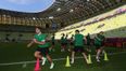 Reasons to be cheerful: Five things to give us hope ahead of Ireland v Spain