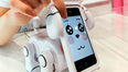 The Week in Tech: Japan unveils odd iPhone robot dog while Microsoft plan Hotmail overhaul