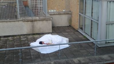 Dublin man photographed in the penthouse-doghouse