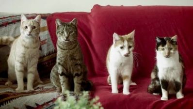 Today’s Triplet: Drunk football fans cheer for woman parking her car