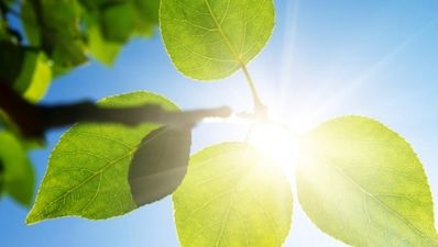 Summer at last! Heat wave is expected to hit next week