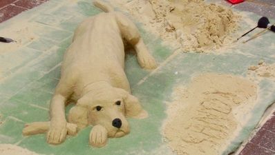 What’s the story with the new rules for Dublin’s buskers?