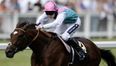 Video: Guess the result of Frankel’s race today?