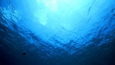 So now you can listen to the Shannon estuary… yes, ‘listen’