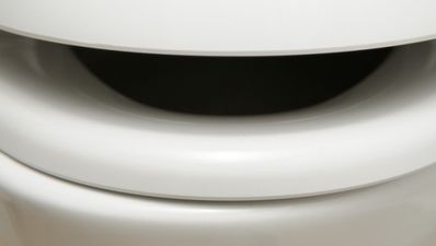 Five Minute DIY: Replacing a toilet seat