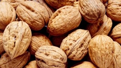 Got nuts? Researchers claim walnuts can help your sex life