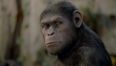 Tonight’s TV: The Hit, Live Paralympics, Rise of the Planet of the Apes
