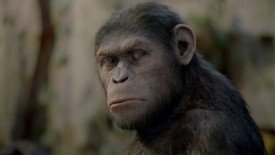 Tonight’s TV: The Hit, Live Paralympics, Rise of the Planet of the Apes