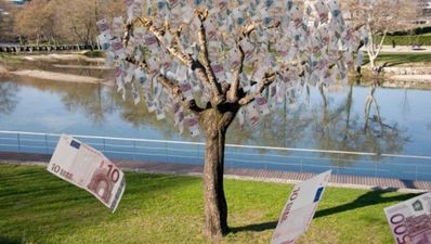 How would you like to buy a ‘Money Bush’ for 100,000 euro?