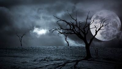 Top 5 Halloween Activities