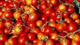 Eating tomatoes could help reduce stroke risk in men