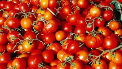 Eating tomatoes could help reduce stroke risk in men