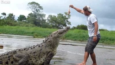 Video: Tour guide has a lucky escape from monstrous croc