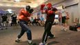 In Pictures: Ireland’s best boxers spar with Ireland’s best rugby players