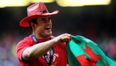 Cardiff get the blues as Jamie Roberts expected to flee to France