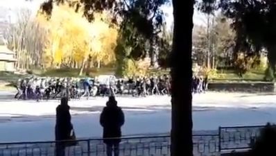 Video: The bigger they are the harder they brawl