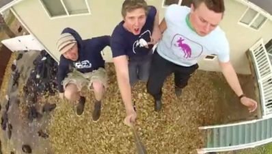 Video: Would you jump into 20,000 lbs of leaves? It does look fun…