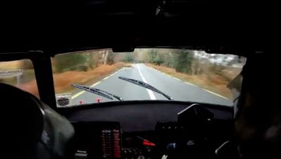 Video: Irish rally drivers have close call with a red deer