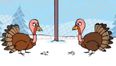 Video: Have you seen the Sminky Shorts Christmas Turkey clip yet?