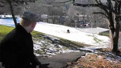 Video: There’s no CGI involved with this amazing hawk snatch