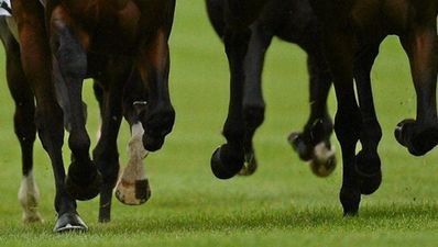 Wexford punter wins big after 10 horse accumulator comes through – after steward’s inquiry
