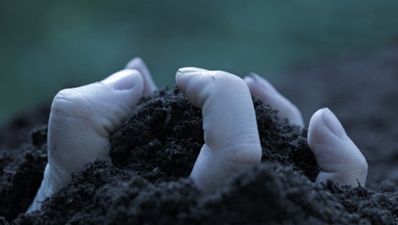 Video: US TV network’s emergency alert system reports of zombie apocalypse