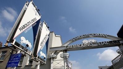 [CLOSED] Win a fantastic night out at an exclusive JOE greyhound event in Harold’s Cross