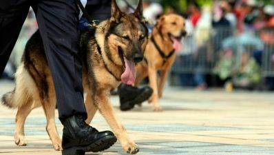 Pic or the Day: Looks like the Crown Prosecution Service was barking up the wrong tree