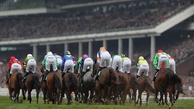 Why theTote.com is your best friend for Cheltenham betting