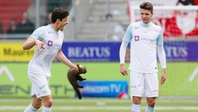 Video: Ferret outfoxes Swiss footballers