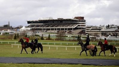 A beginner’s guide to the Cheltenham Festival
