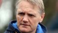Looks like Joe Schmidt could be the next Ireland coach after all