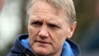 Looks like Joe Schmidt could be the next Ireland coach after all