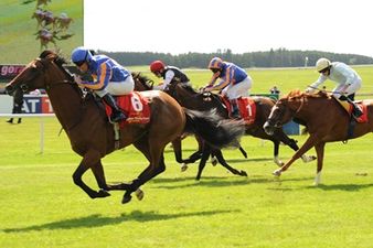 Pic: This racecard at Cork is absolutely filled with sexual innuendo